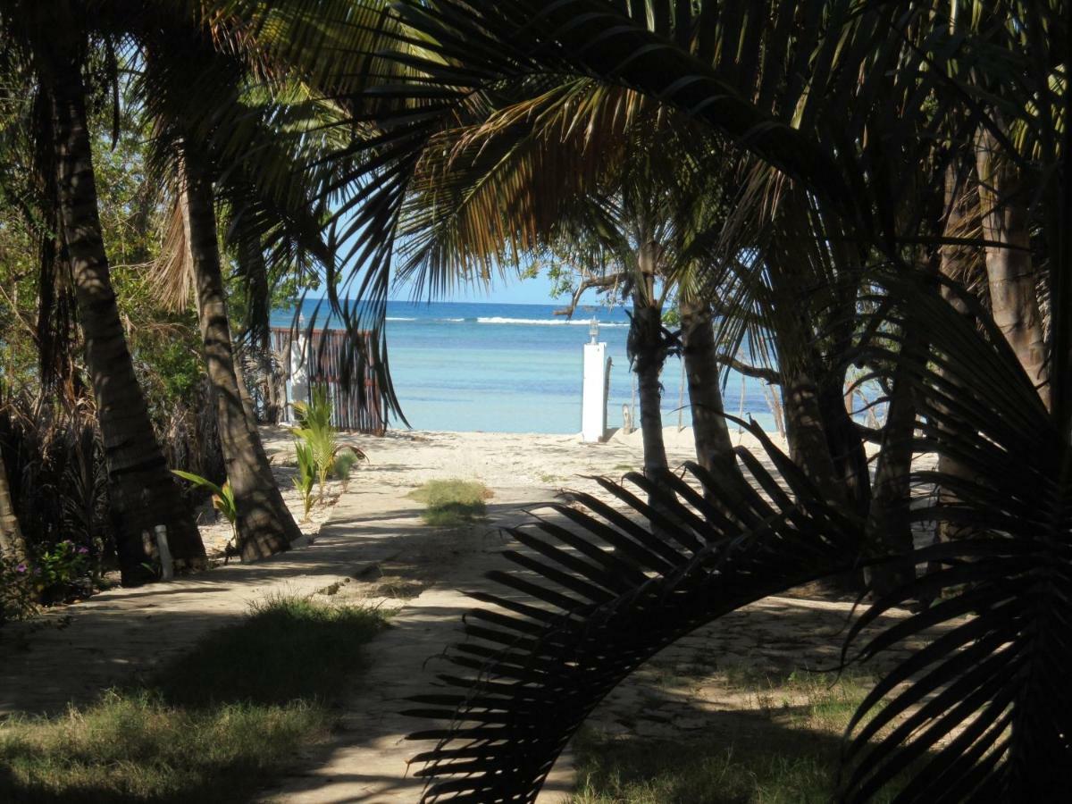 Coco Homestay El Copey