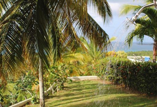 Buena Vista Villa *