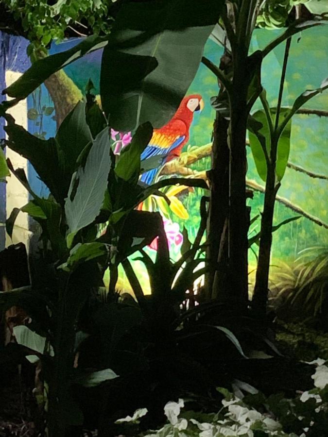 Sana El Jardin Secreto Santiago De Los Caballeros