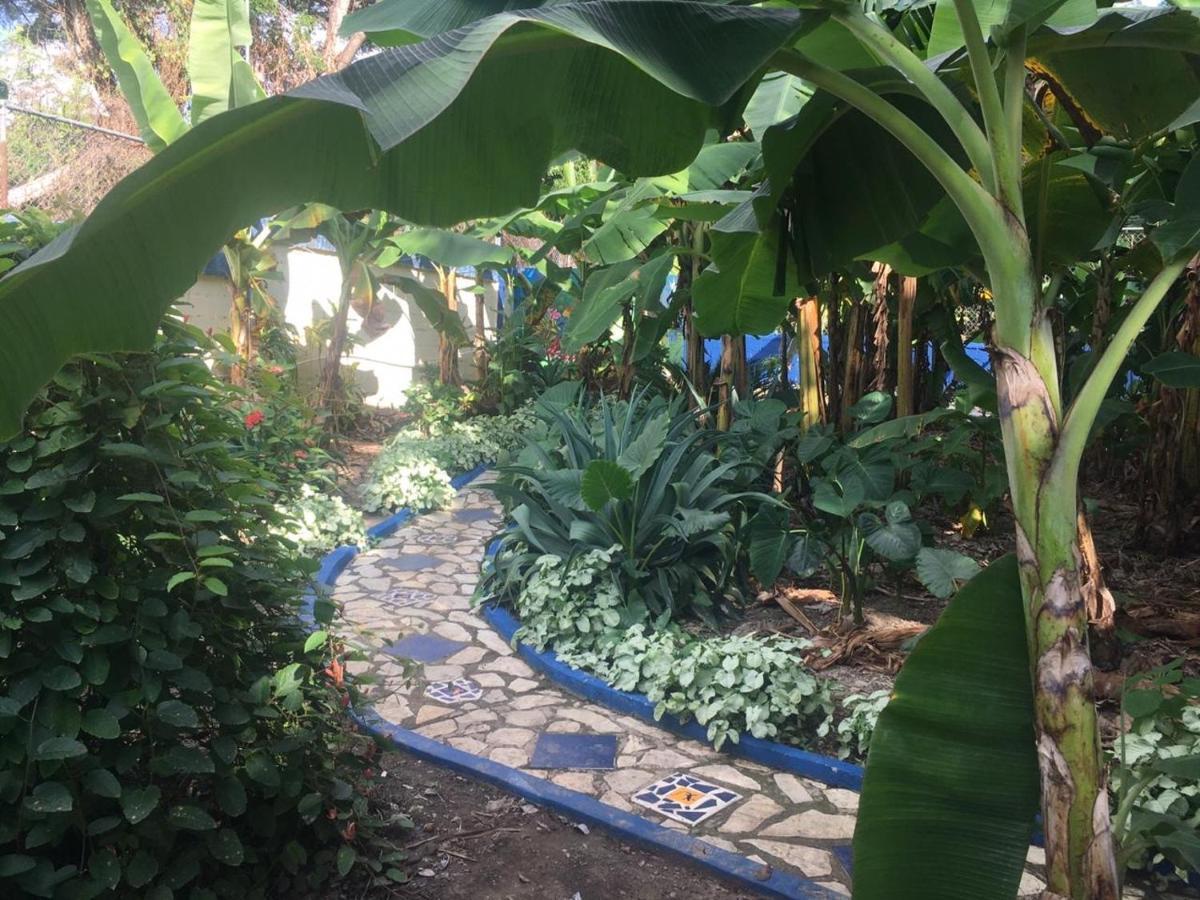 Hostel Sana El Jardin Secreto *