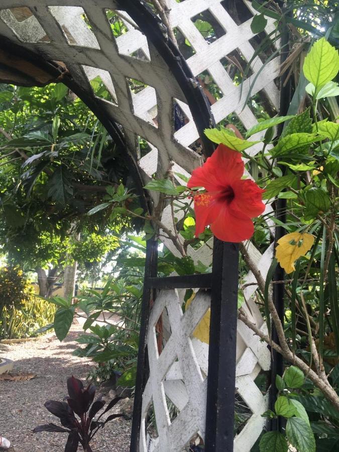 Sana El Jardin Secreto * Santiago De Los Caballeros